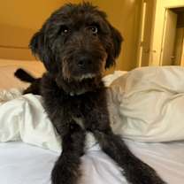 Thumbnail photo of Eve #1