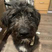 Thumbnail photo of Eve #2