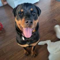 Thumbnail photo of Adira #3