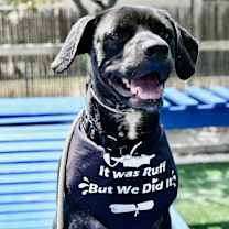 Thumbnail photo of Finnegan IN LA!! #3