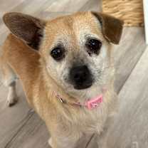 Thumbnail photo of Mika #2