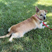 Thumbnail photo of Mika #3