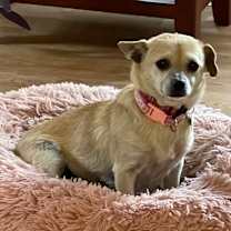 Thumbnail photo of Mika #4