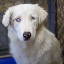 Thumbnail photo of Muse #1