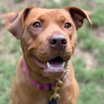 Thumbnail photo of Mama Java #3