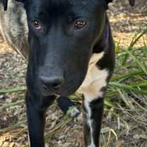 Thumbnail photo of Theo #2