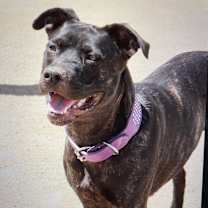 Thumbnail photo of Marabelle #1