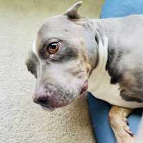 Thumbnail photo of Neela #1