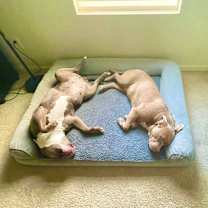 Thumbnail photo of Neela #2