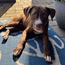 Thumbnail photo of Kelly #1