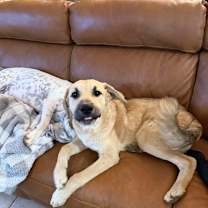 Thumbnail photo of Zues #4