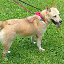 Thumbnail photo of Katie #2