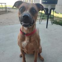 Thumbnail photo of Roo #3