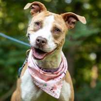 Thumbnail photo of Love #4