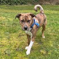 Thumbnail photo of Joshua #2