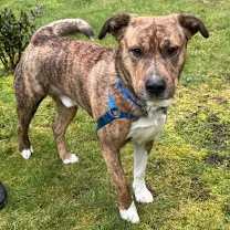 Thumbnail photo of Joshua #3