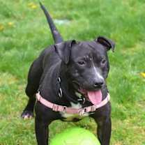 Thumbnail photo of Mars #4