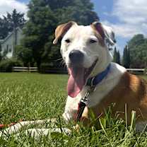 Thumbnail photo of Phineas #1