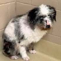 Thumbnail photo of Truffle #2