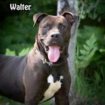 Thumbnail photo of Walter #1