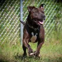 Thumbnail photo of Walter #2