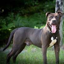 Thumbnail photo of Walter #3