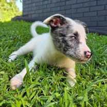 Thumbnail photo of Valentina #2