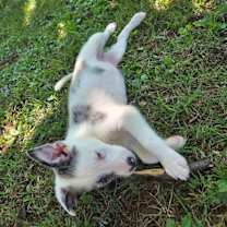 Thumbnail photo of Valentina #3