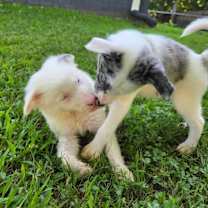 Thumbnail photo of Valentina #4