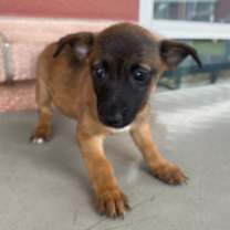 Thumbnail photo of Mel #1