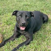 Thumbnail photo of Jayce #2