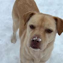 Thumbnail photo of Winkle #1