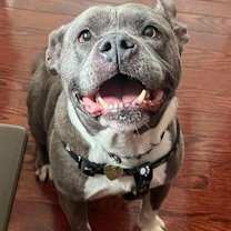 Thumbnail photo of Penelope AB #1