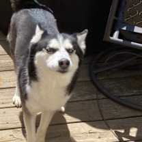 Thumbnail photo of Dimond #4