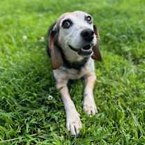 Thumbnail photo of Vivienne #1