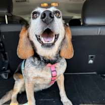 Thumbnail photo of Vivienne #2