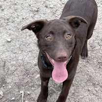 Thumbnail photo of Reese #2