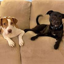 Thumbnail photo of Coco #4