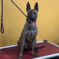 Thumbnail photo of Betty #1