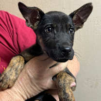 Thumbnail photo of Betty #2