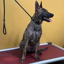 Thumbnail photo of Betty #3