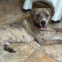 Thumbnail photo of GARTH #2