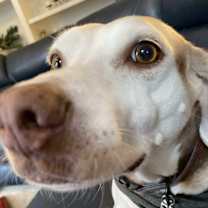 Thumbnail photo of Joy #3