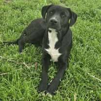 Thumbnail photo of Jett #1