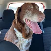 Thumbnail photo of Nexus #2