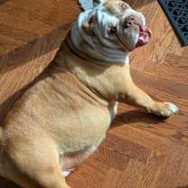 Thumbnail photo of Rita #1