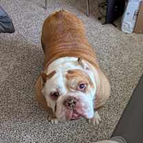 Thumbnail photo of Rita #2