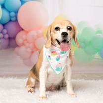 Thumbnail photo of Rosie (Bonded with Ruby) #1