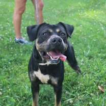 Thumbnail photo of Oscar #1