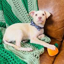 Thumbnail photo of Teddy Summer #4